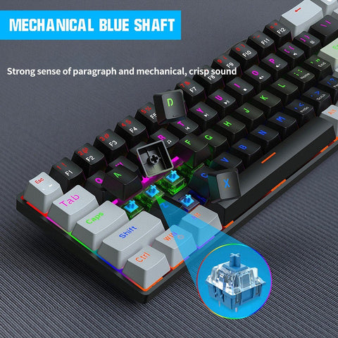 HXSJ V800 Wired Mechanical Keyboard 68 Keys RGB Gaming Keyboard with Detachable Type-C Cable ABS Keycap Black(Blue Switches)